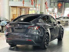 Tesla Model Y Rear-Wheel Drive - ფოტო 9