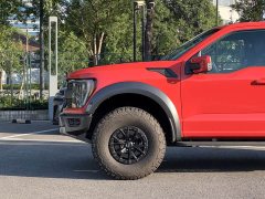 Ford F-150 Raptor 3.5T Raptor - ფოტო 8