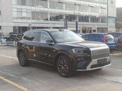 Zeekr Geely Zeekr 8X Max 55kWh - ფოტო 13