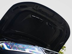 Land Rover Range Rover Sport 2022 5.0 SC V8 SVR Peak Collector's Edition - ფოტო 18