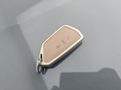 Volkswagen Golf 280TSI DSG R-Line 50th Anniversary Edition - ფოტო 20
