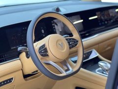 Voyah Dream PHEV Extended Range Luxury Edition - ფოტო 10