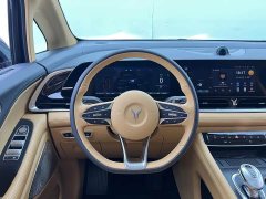 Voyah Dream PHEV Extended Range Luxury Edition - ფოტო 11