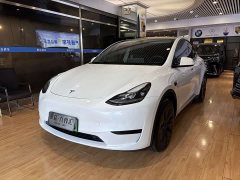 Tesla Model Y Rear-Wheel Drive - ფოტო 1