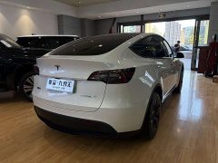 Tesla Model Y Rear-Wheel Drive - ფოტო 12
