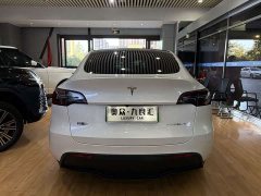 Tesla Model Y Rear-Wheel Drive - ფოტო 13