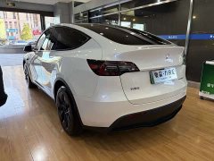 Tesla Model Y Rear-Wheel Drive - ფოტო 14