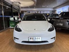 Tesla Model Y Rear-Wheel Drive - ფოტო 2