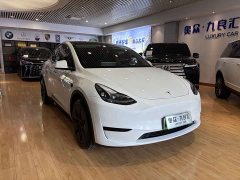 Tesla Model Y Rear-Wheel Drive - ფოტო 3