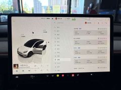 Tesla Model Y Rear-Wheel Drive - ფოტო 5