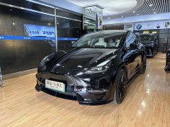 Tesla Model Y Standard Range RWD - ფოტო 1