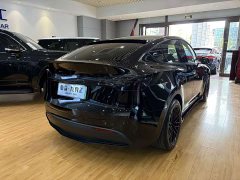 Tesla Model Y Standard Range RWD - ფოტო 11