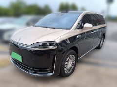Luxeed Zhiji V9 Max - ფოტო 1