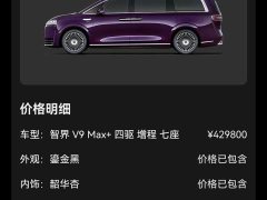 Luxeed Zhiji V9 Max - ფოტო 10