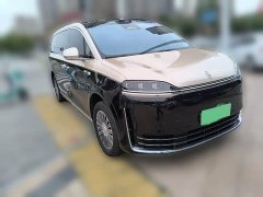 Luxeed Zhiji V9 Max - ფოტო 2
