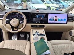 Luxeed Zhiji V9 Max - ფოტო 8