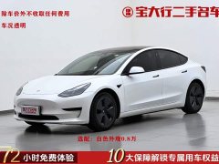 Tesla Model 3 2022 Rear-Wheel Drive - ფოტო 1