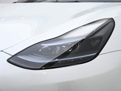 Tesla Model 3 2022 Rear-Wheel Drive - ფოტო 10