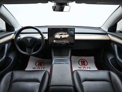 Tesla Model 3 2022 Rear-Wheel Drive - ფოტო 13
