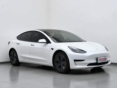 Tesla Model 3 2022 Rear-Wheel Drive - ფოტო 4