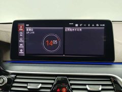 BMW 5 Series Facelift 530Li M Sport Luxury - ფოტო 9