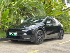 Tesla Model Y Rear-Wheel Drive - ფოტო 1