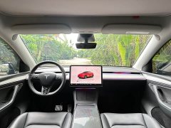 Tesla Model Y Rear-Wheel Drive - ფოტო 15