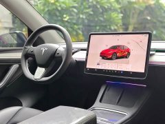 Tesla Model Y Rear-Wheel Drive - ფოტო 17