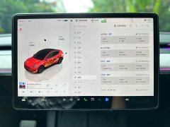 Tesla Model Y Rear-Wheel Drive - ფოტო 19