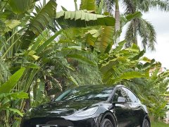 Tesla Model Y Rear-Wheel Drive - ფოტო 6