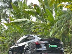 Tesla Model Y Rear-Wheel Drive - ფოტო 8