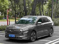 Wuling Kaje 2020 1.5T CVT Premier - ფოტო 1