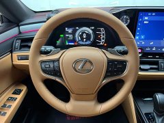 Lexus ES 2022 300h Premium Edition - ფოტო 14