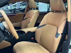 Lexus ES 2022 300h Premium Edition - ფოტო 9