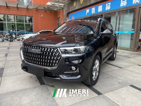 2022 Haval H6 2021 National Trend 1.5T Automatic Champion Edition - ავტომობილი ჩინეთიდან