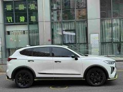 Haval Chitu Jiqing Edition 1.5T Golden Rabbit - ფოტო 4