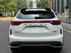 Haval Chitu Jiqing Edition 1.5T Golden Rabbit - ფოტო 5