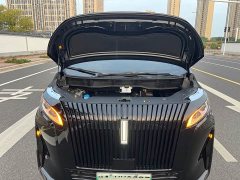 Great Wall WEY Shanshan New Energy 2025 Four-Wheel Drive Shanshan 8 - ფოტო 13
