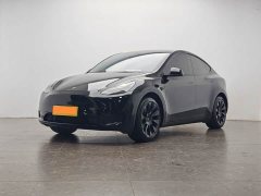 Tesla Model Y Rear-Wheel Drive - ფოტო 1