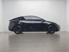 Tesla Model Y Rear-Wheel Drive - ფოტო 11