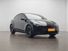 Tesla Model Y Rear-Wheel Drive - ფოტო 2