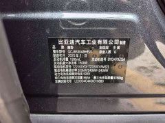 Denza BYD Denza N9 Flagship - ფოტო 18