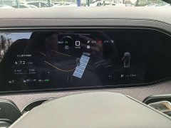 Denza BYD Denza N9 Flagship - ფოტო 7
