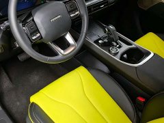 Haval Cool Dog 1.5T DCT AWD Trendy Wilderness Edition - ფოტო 5