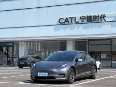 Tesla Model 3 Standard Range RWD Upgrade - ფოტო 1