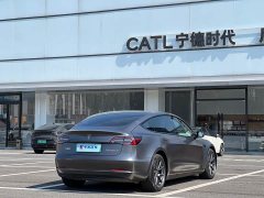 Tesla Model 3 Standard Range RWD Upgrade - ფოტო 3