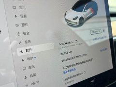 Tesla Model 3 Standard Range RWD Upgrade - ფოტო 8