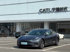 Tesla Model 3 Standard Range RWD Upgrade - ფოტო 1