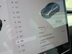Tesla Model 3 Standard Range RWD Upgrade - ფოტო 14