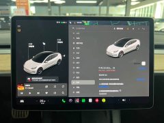 Tesla Model 3 Performance All-Wheel Drive - ფოტო 13